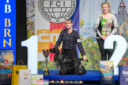 LH107673_hajekphotography.cz