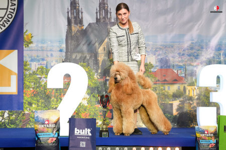 LH108052_hajekphotography.cz