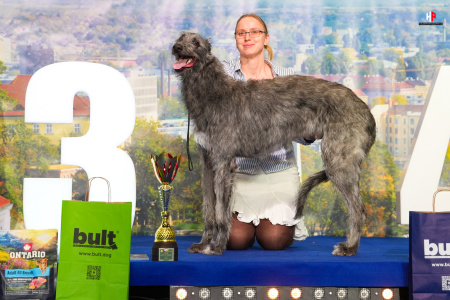 LH108365_hajekphotography.cz