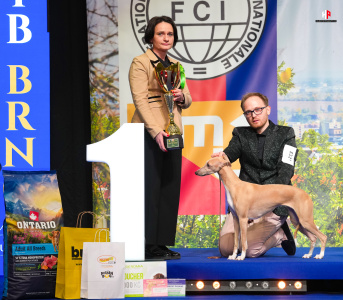 LH108379_hajekphotography.cz