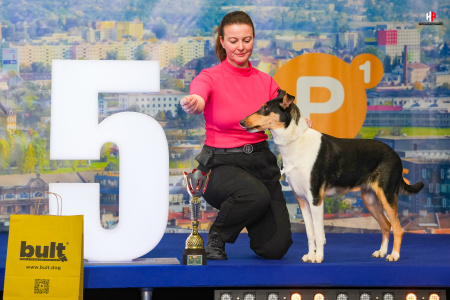 LH108771_hajekphotography.cz