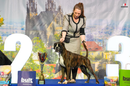 LH109413_hajekphotography.cz