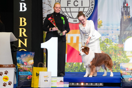 LH109777_hajekphotography.cz