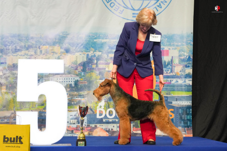 LH109835_hajekphotography.cz