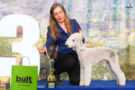 LH109881_hajekphotography.cz