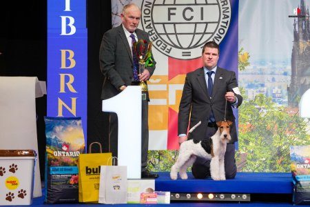 LH109910_hajekphotography.cz