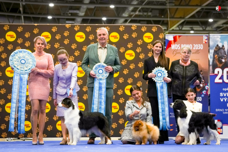 LH105765_hajekphotography.cz