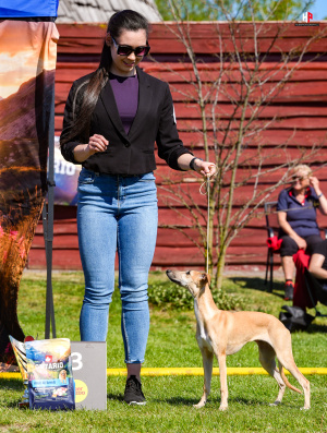 LH505690_hajekphotography.cz