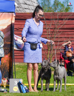 LH506938_hajekphotography.cz