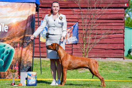 LH509214_hajekphotography.cz