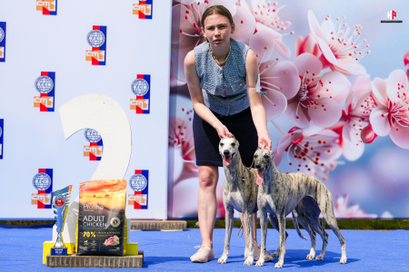 LH200764