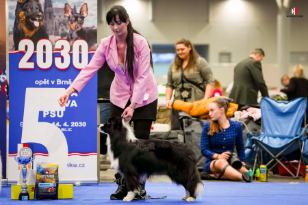 LH103786_hajekphotography.cz