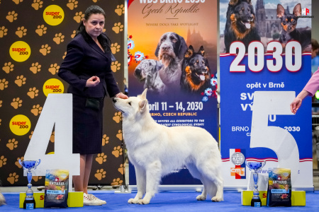 LH103794_hajekphotography.cz