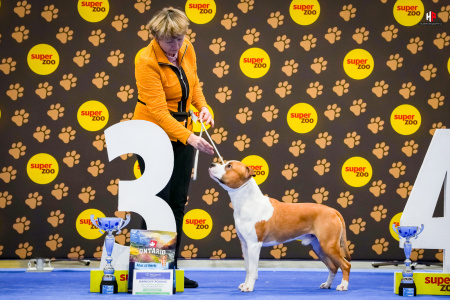 LH104035_hajekphotography.cz