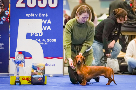 LH104077_hajekphotography.cz