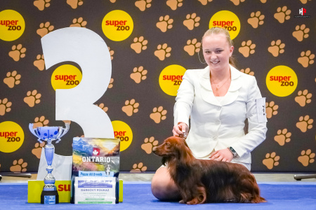 LH104111_hajekphotography.cz