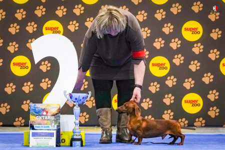 LH104128_hajekphotography.cz