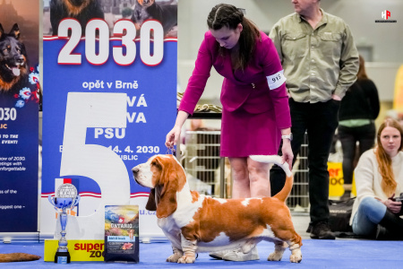 LH104809_hajekphotography.cz