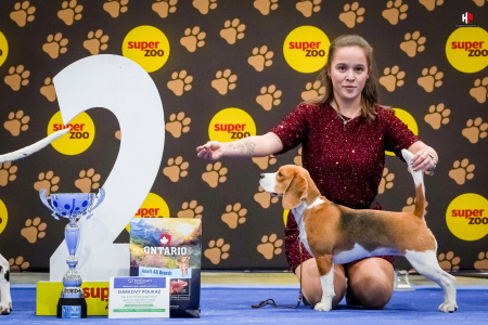 LH104838_hajekphotography.cz