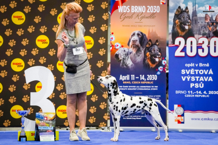 LH102640_hajekphotography.cz