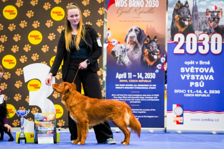 LH103506_hajekphotography.cz