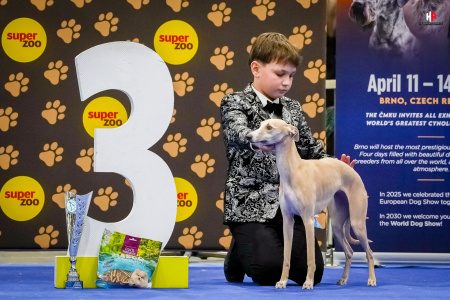 LH108731_hajekphotography.cz