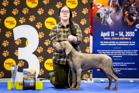 LH109134_hajekphotography.cz