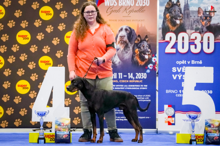 LH105591_hajekphotography.cz