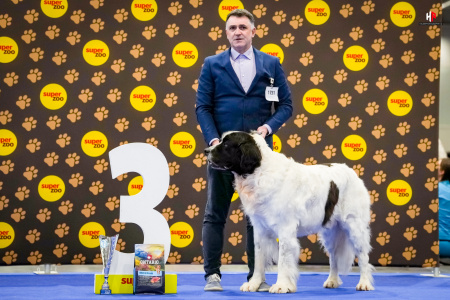 LH100346_hajekphotography.cz