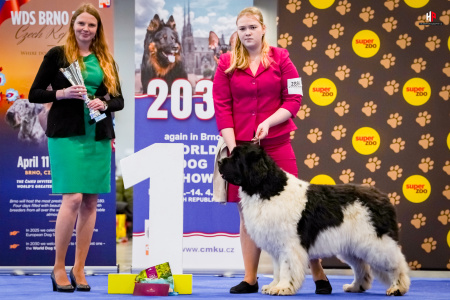 LH109174_hajekphotography.cz