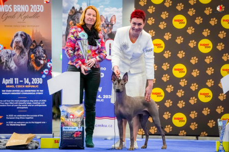 LH109797_hajekphotography.cz