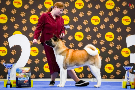 LH101849_hajekphotography.cz