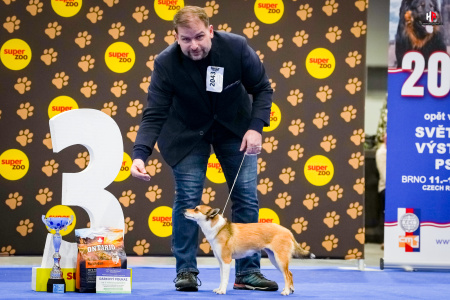 LH101863_hajekphotography.cz