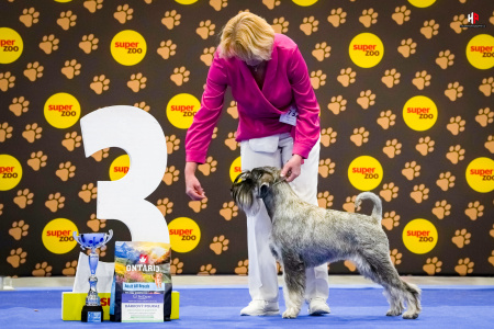 LH101465_hajekphotography.cz