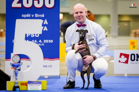 LH103813_hajekphotography.cz