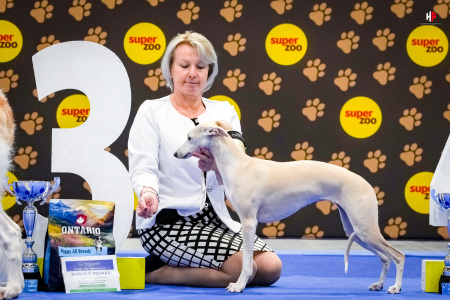 LH103840_hajekphotography.cz