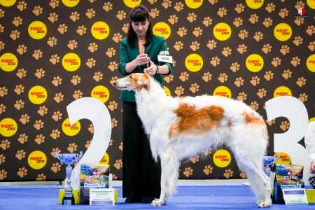 LH103854_hajekphotography.cz