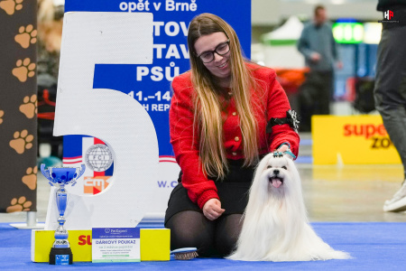 LH103458_hajekphotography.cz