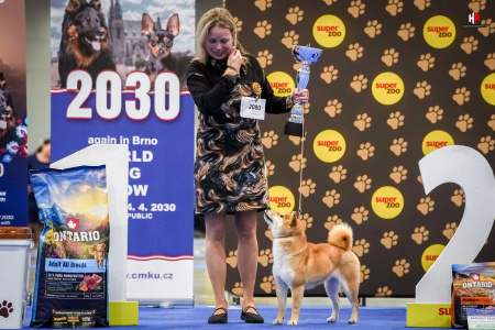 LH103263_hajekphotography.cz