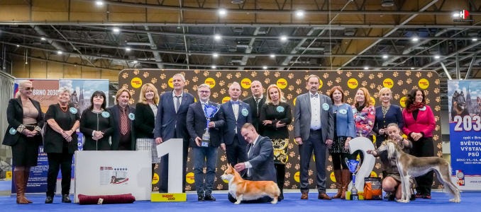 LH205570_hajekphotography.cz