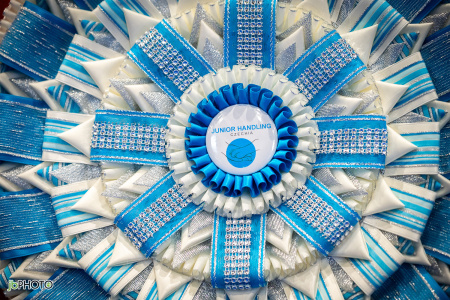 26_NV_BRNO_SO (3) - kopie