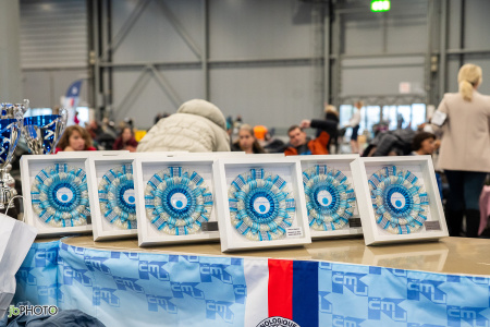 26_NV_BRNO_SO (4) - kopie