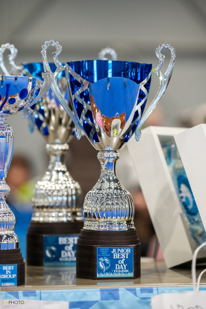 26_NV_BRNO_SO (10) - kopie