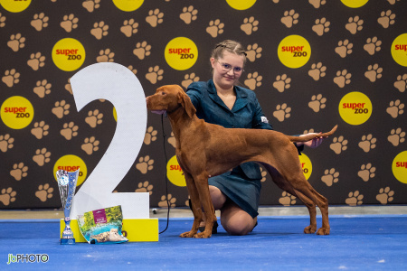 26_NV_BRNO_SO (54) - kopie