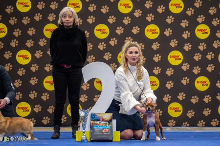 26_NV_BRNO_SO (73) - kopie