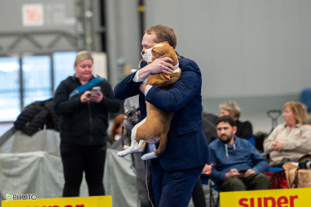 26_NV_BRNO_SO (109) - kopie