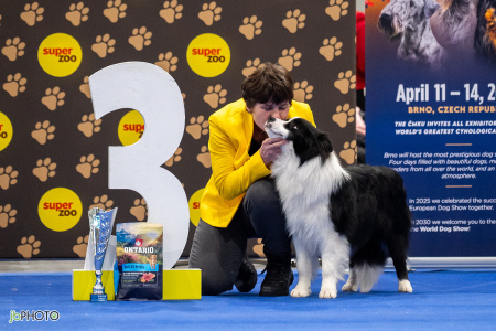 26_NV_BRNO_SO (110) - kopie