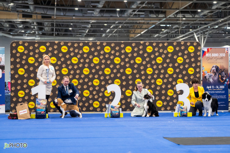 26_NV_BRNO_SO (113) - kopie