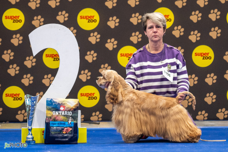 26_NV_BRNO_SO (139) - kopie