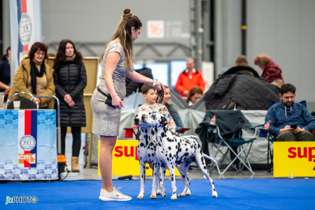 26_NV_BRNO_SO (177) - kopie